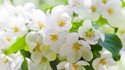 高溫天氣應(yīng)該注意什么